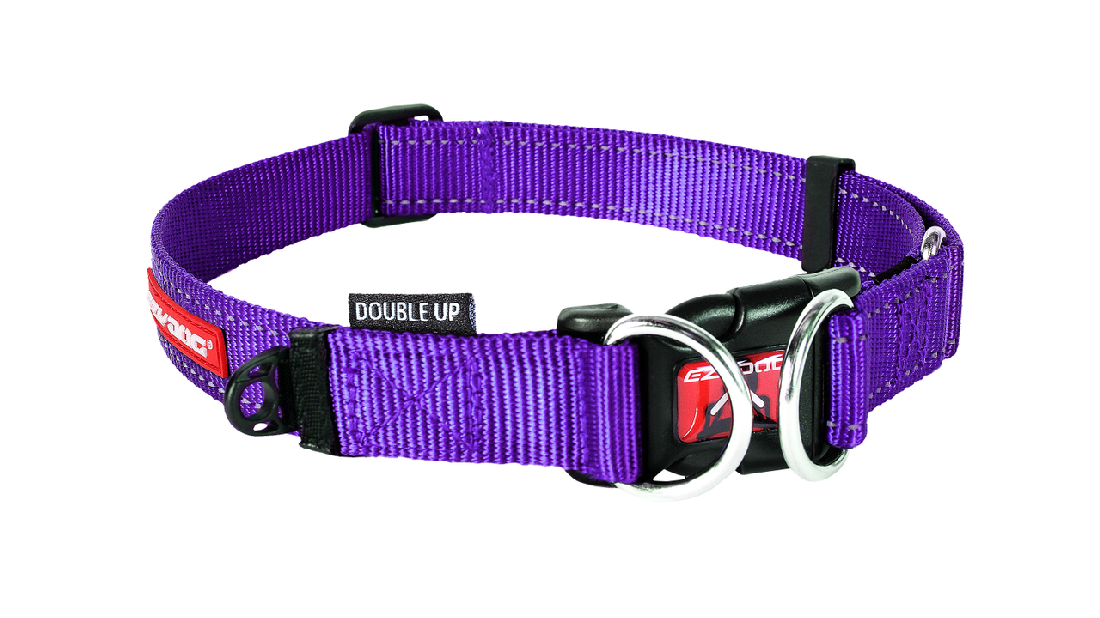 Ed Collar Double Up Purple M [size:m  Colour:purple]