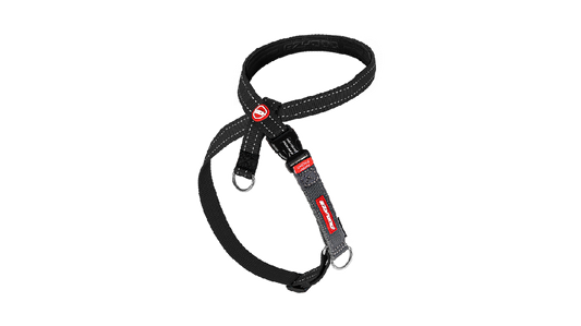 Ed Crosscheck Harness Xl [size:xl]