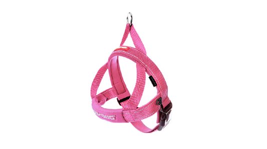 Ed Harness Qf Pink Xl [size:xl Colour:pink]
