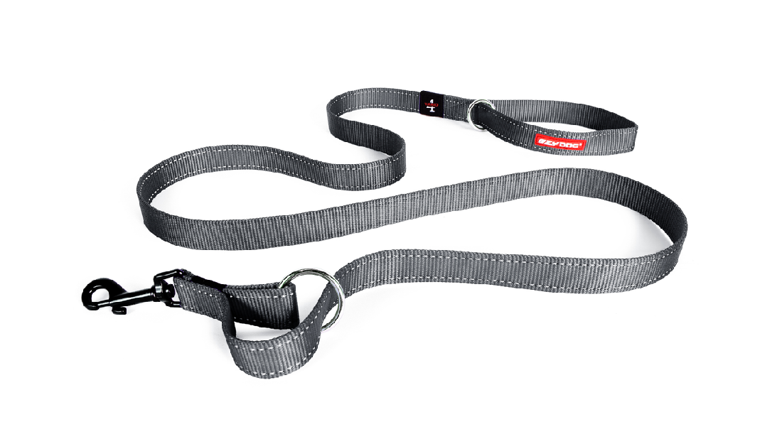 Ed Leash Vario 4 25mm [colour:grey]