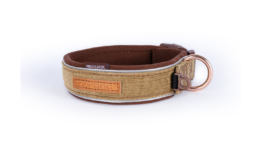 Ed Collar Neo Classic Corduroy L [size:l  Colour:corduroy]