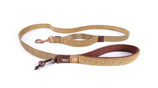 Ed Leash Soft Trainer 25mm Corduroy [colour:corduroy]
