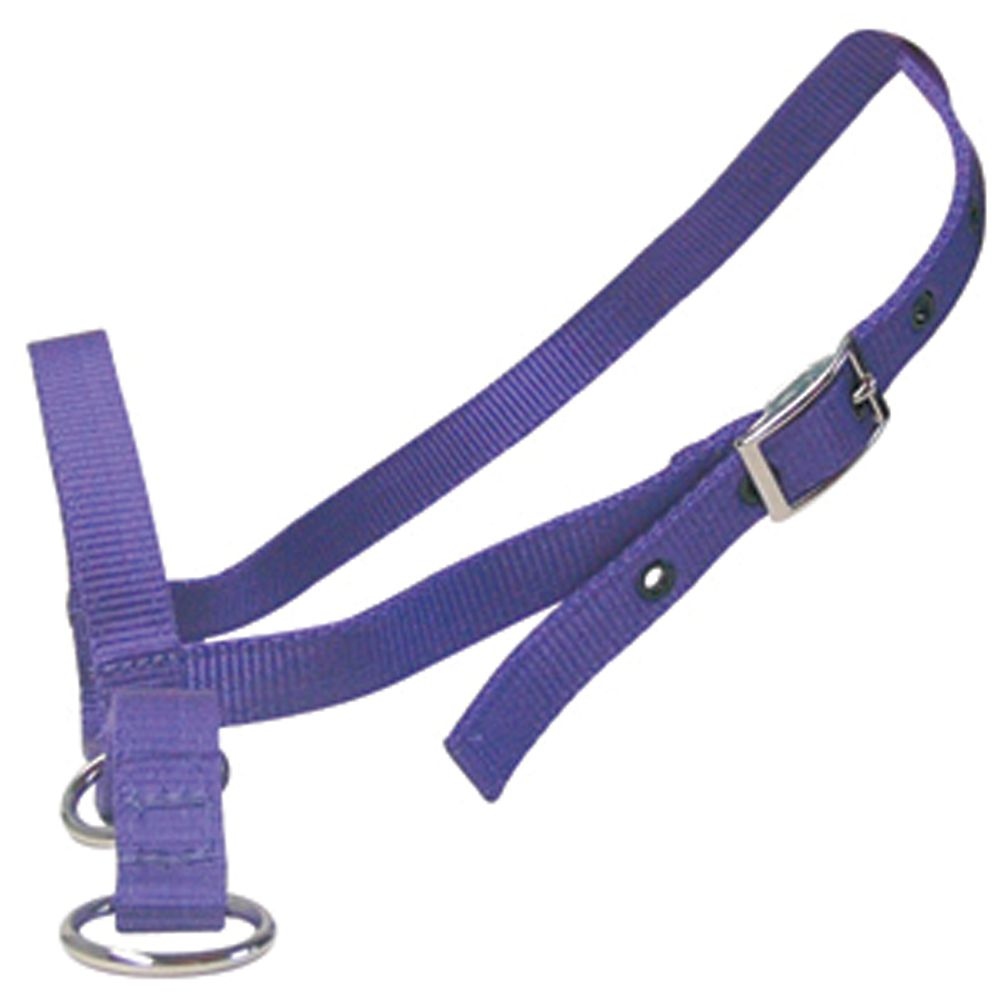 Nylon Calf Leading Halter Blue [colour:blue]