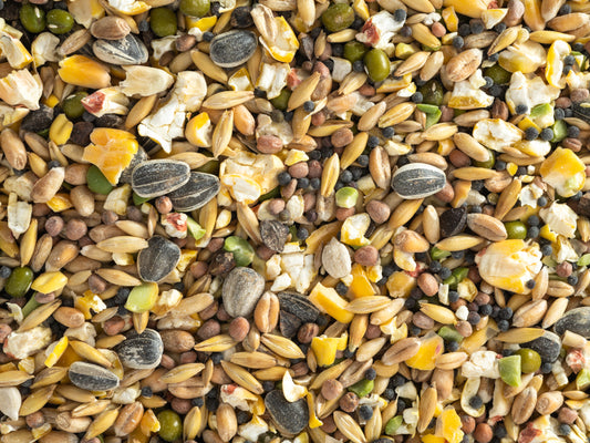 Topflite Soak & Sprout 2kgs