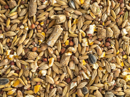 Rat & Mice Mix 20kg [size:20kg]