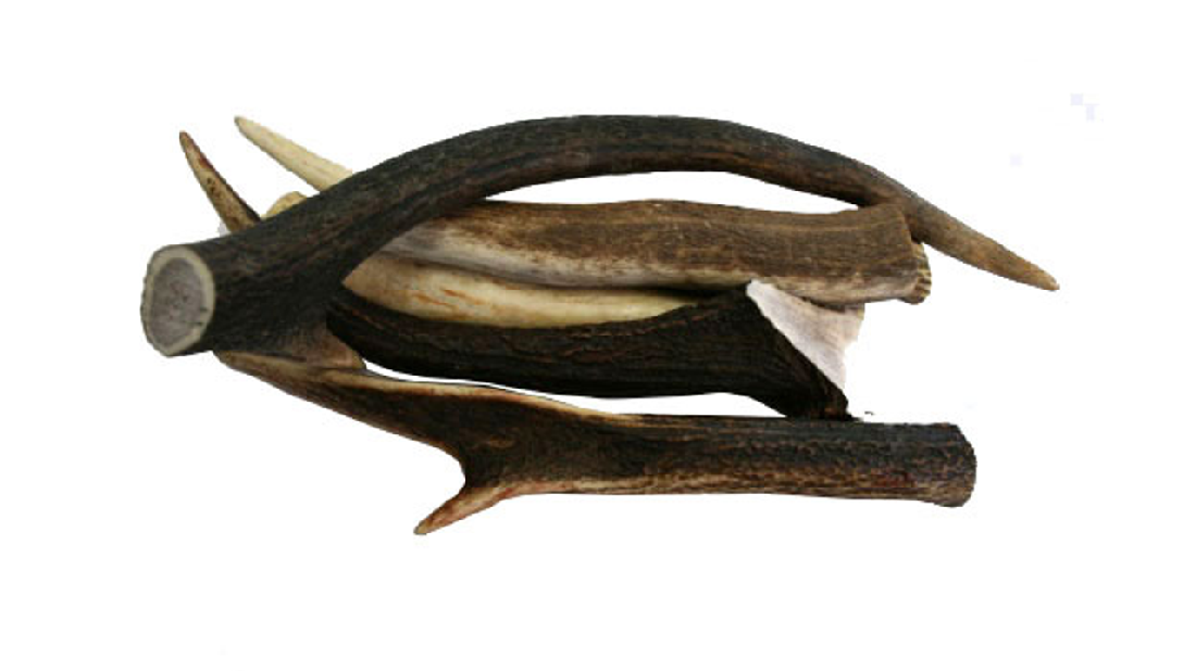 Deer Antler Sml