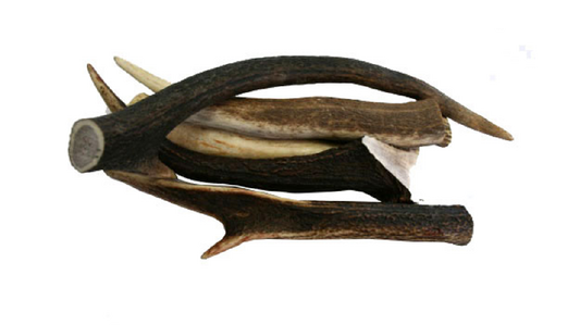 Deer Antler Sml