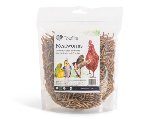 Dried Mealworms 125g