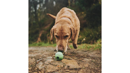 Beco Ball Green Large