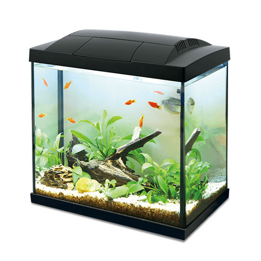 Hailea LED Aquarium 30L