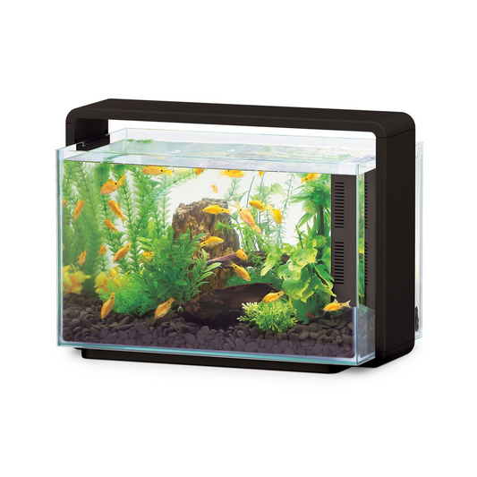 Hailea Aquarium 60L - Black