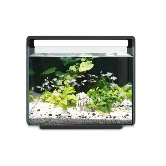 Hailea Aquarium 80L - Black