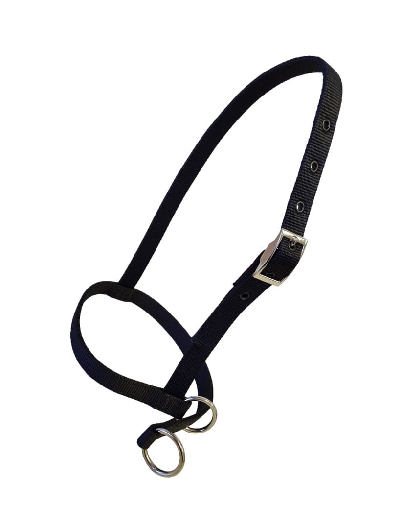 Nylon Calf Leading Halter