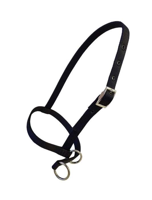Nylon Calf Leading Halter