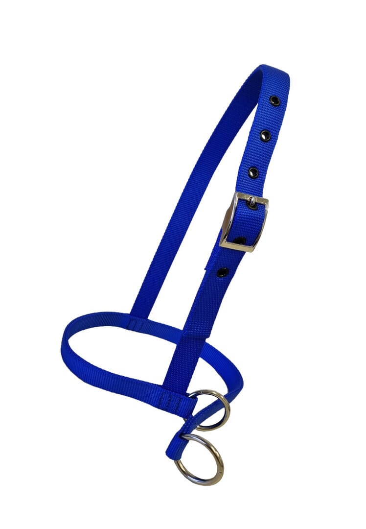 Nylon Calf Leading Halter