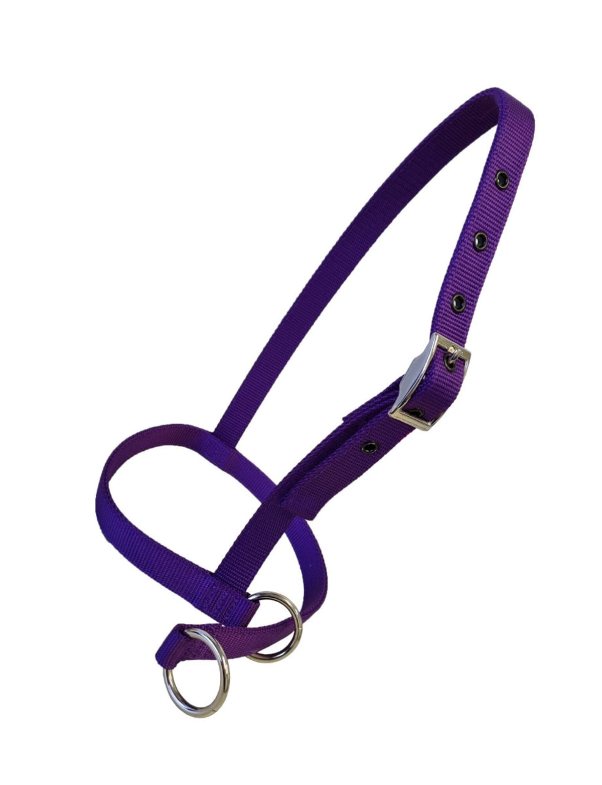 Nylon Calf Leading Halter