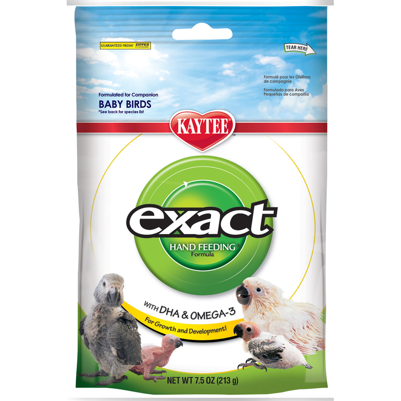 Exact Handfeeding Baby Bird