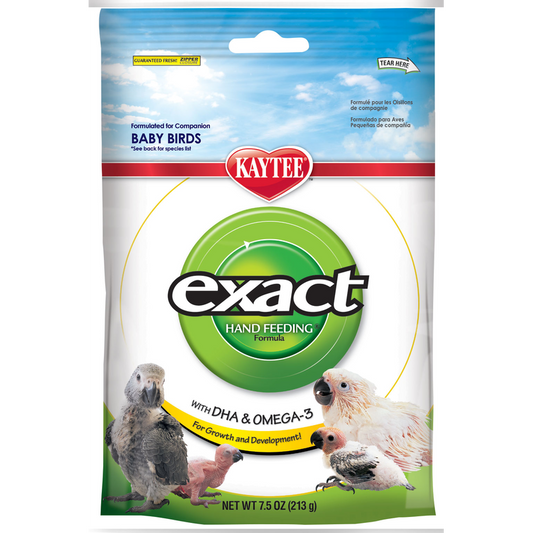 Exact Handfeeding Baby Bird