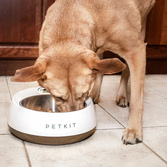 PetKit Fresh Metal Smart Pet Bowl - Wood Texture