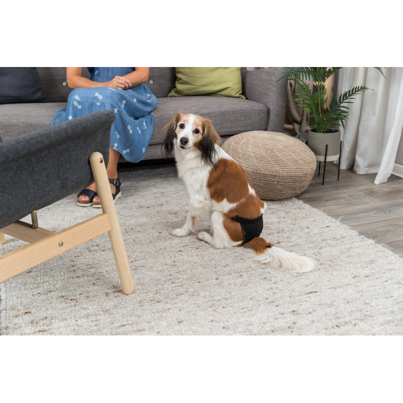 Trixie Protective Dog Pants