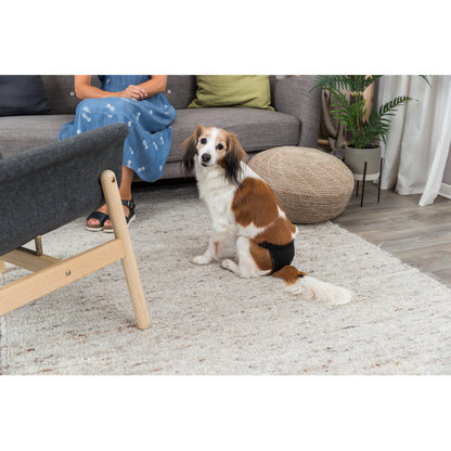 Trixie Protective Dog Pants