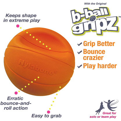Nylabone Basketball Gripz