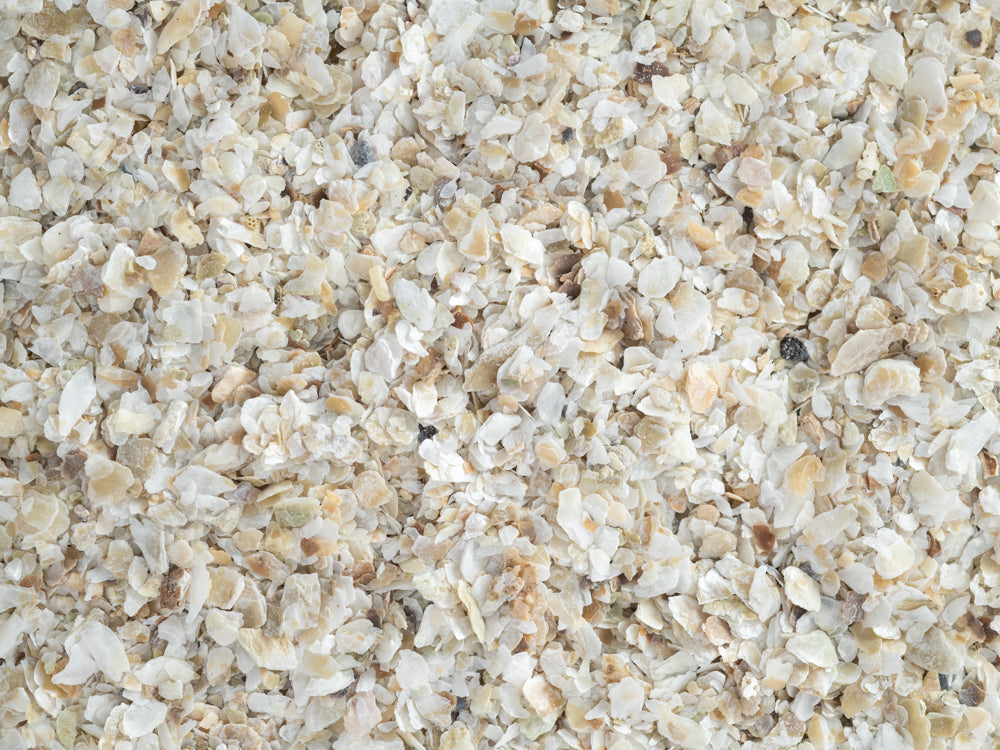 Oyster Shell Fine Grit