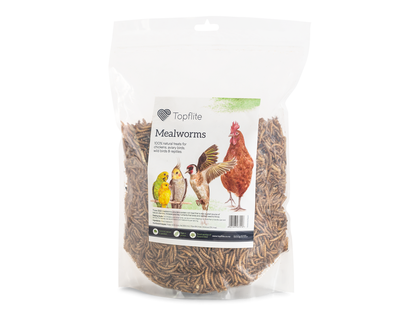 Dried Mealworms