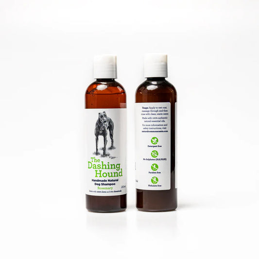 The Dashing Hound Shampoo - Rosemary