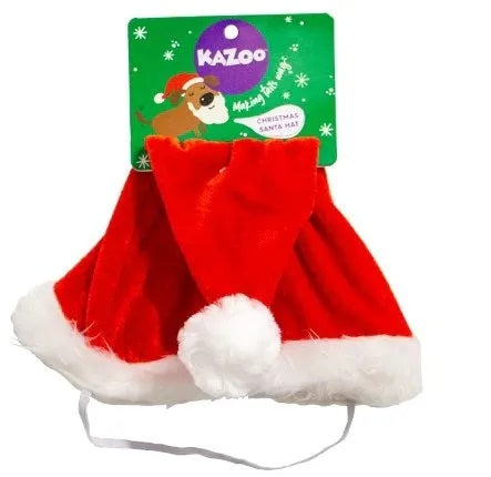 Christmas Santa Hats