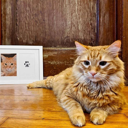 Paw Print Ink Kit, No Ink Cleanup - Mess Free Impressions